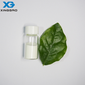 Acide 2,5-furandicarboxylique CAS 3238-40-2