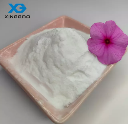 L'avenir des soins de la peau et l'évolution d'ingrédients plus sûrs