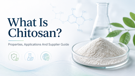 What Is Chitosan.png