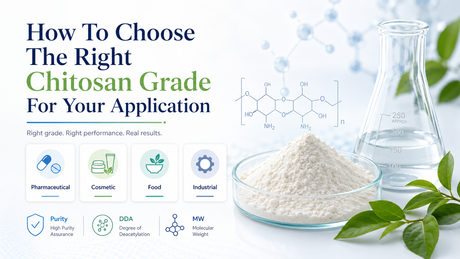 How To Choose The Right Chitosan Grade For Your Application.png